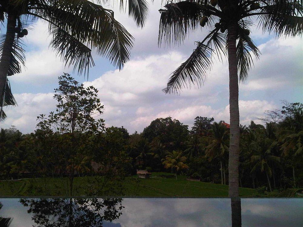 Motama * Ubud